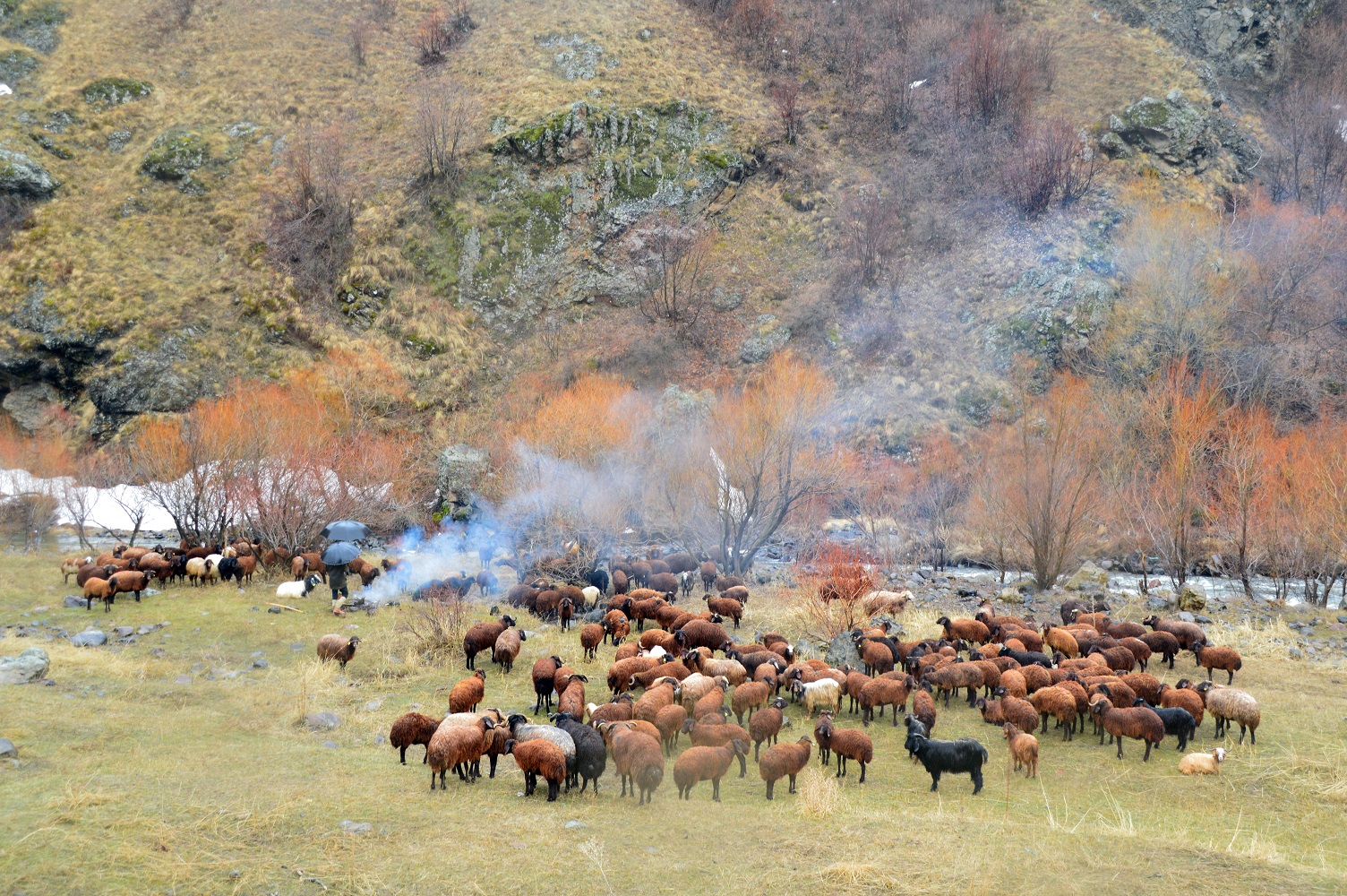 aras-daglarinda-karlar-erimeye-basladi-(1).jpg