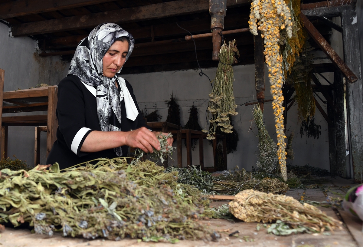 bitki-cesitliligi-koyde-atolye-kurdurttu-(5).jpg