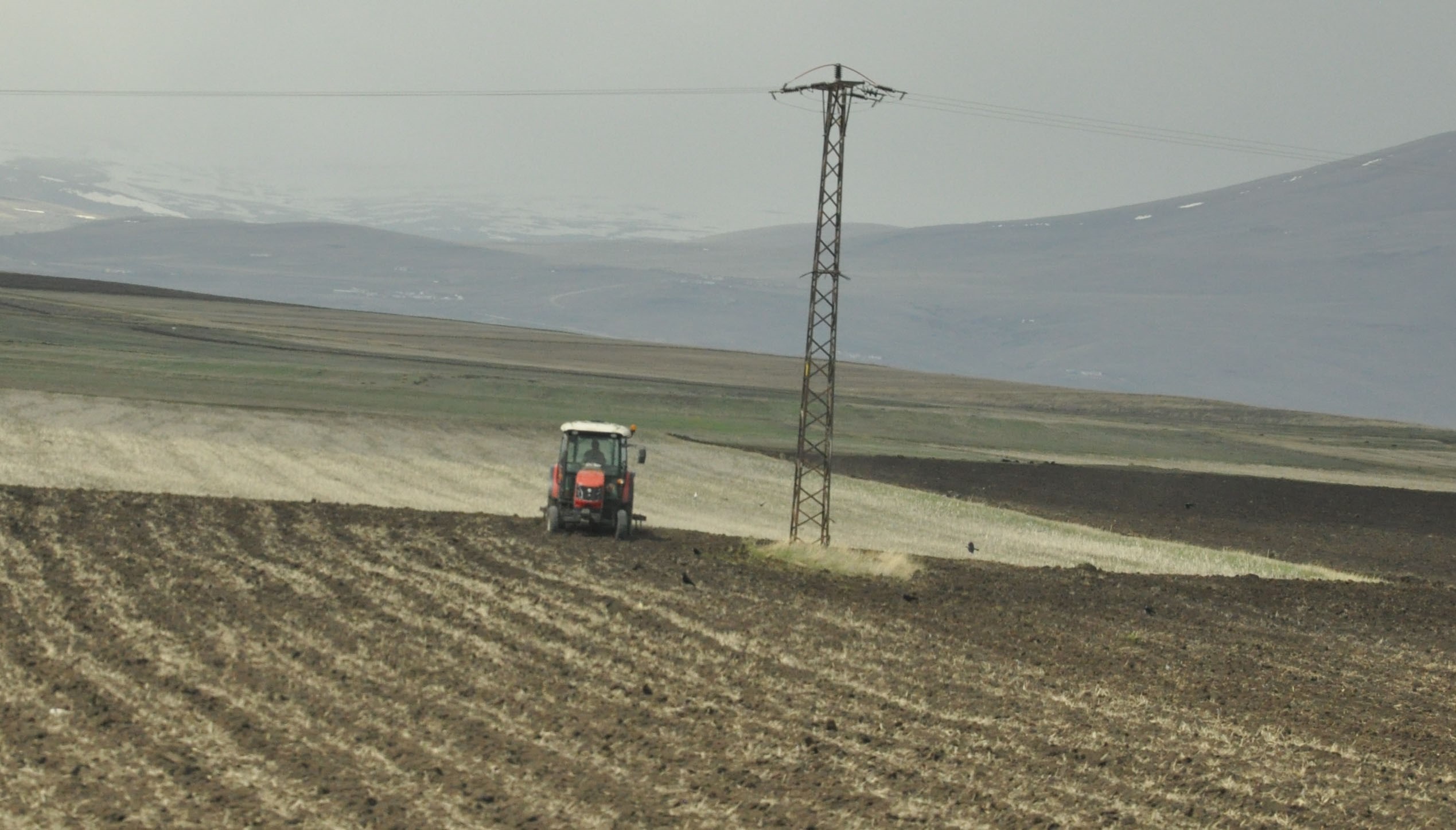 kars’ta-tarlalar-suruluyor-(2).jpg