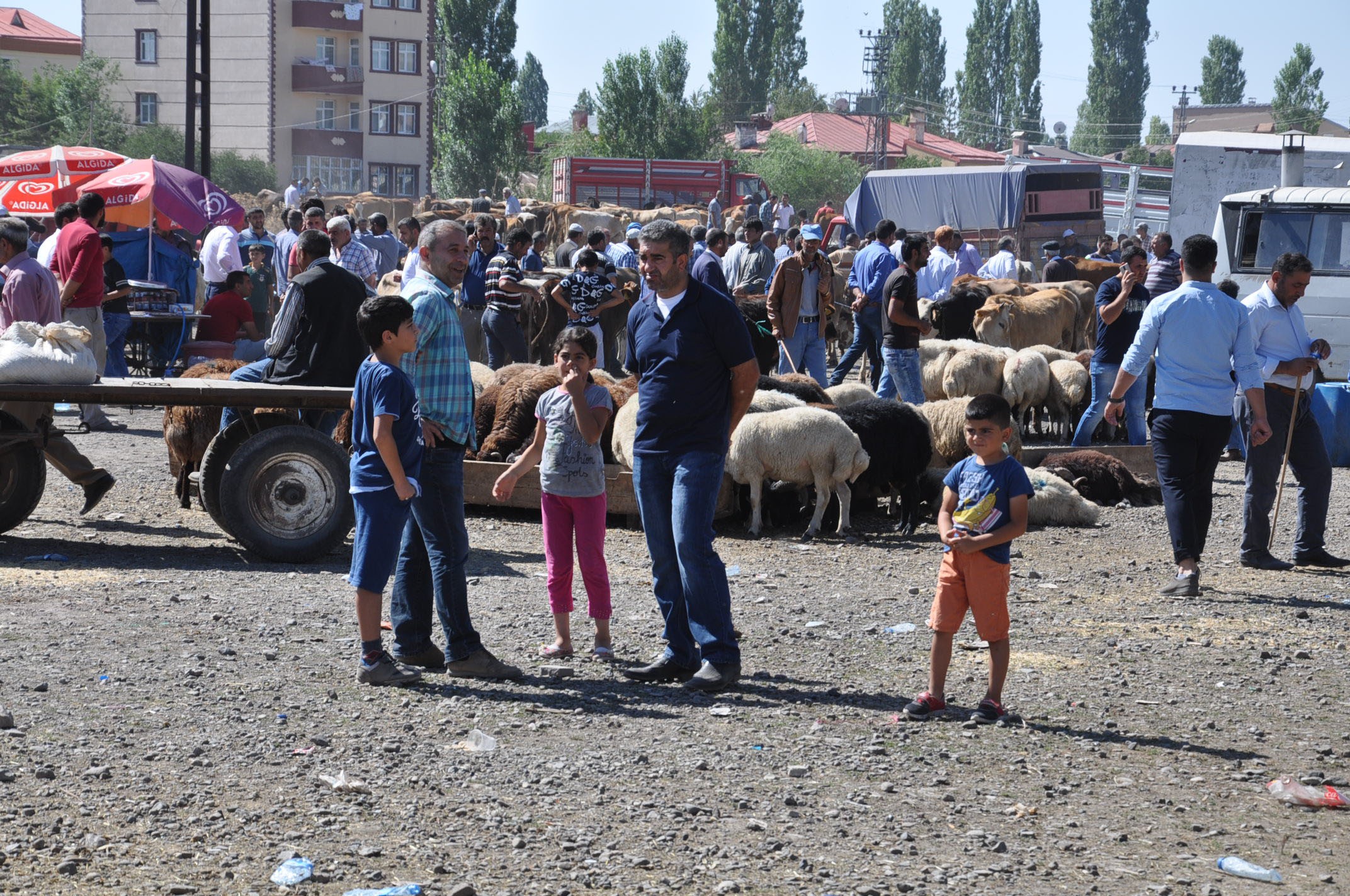 kurbanlik-kars-(5).jpg