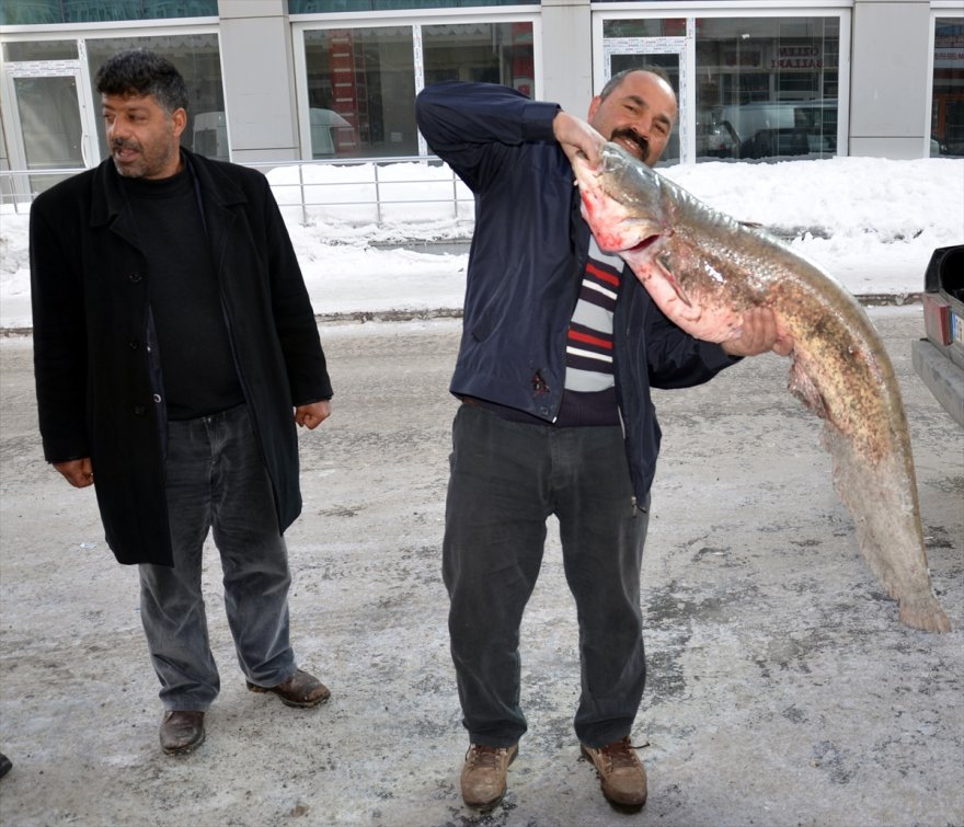 yayin-baliklari-pazarlik-usulu-satiliyor-(7).jpg