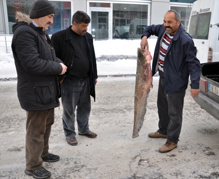 yayin-baliklari-pazarlik-usulu-satiliyor-(8).jpg