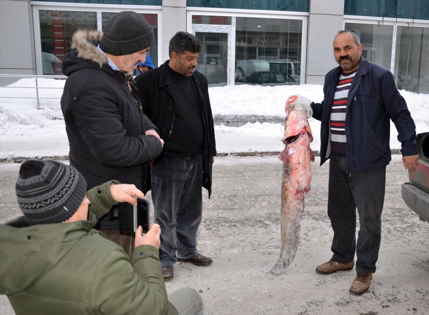 yayin-baliklari-pazarlik-usulu-satiliyor-(9).jpg